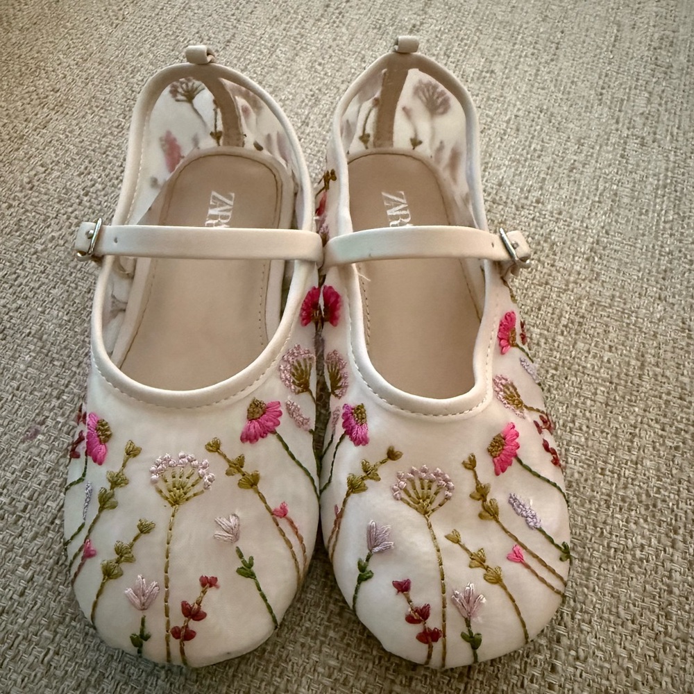 Embroidered Zara Ballerina flats